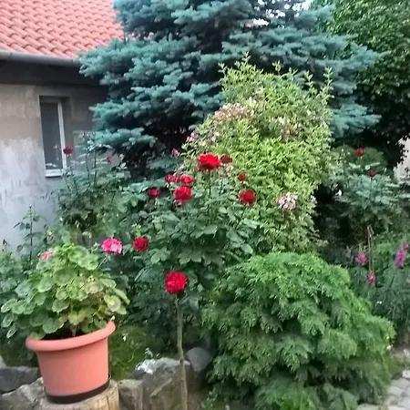 Judit Apartman
